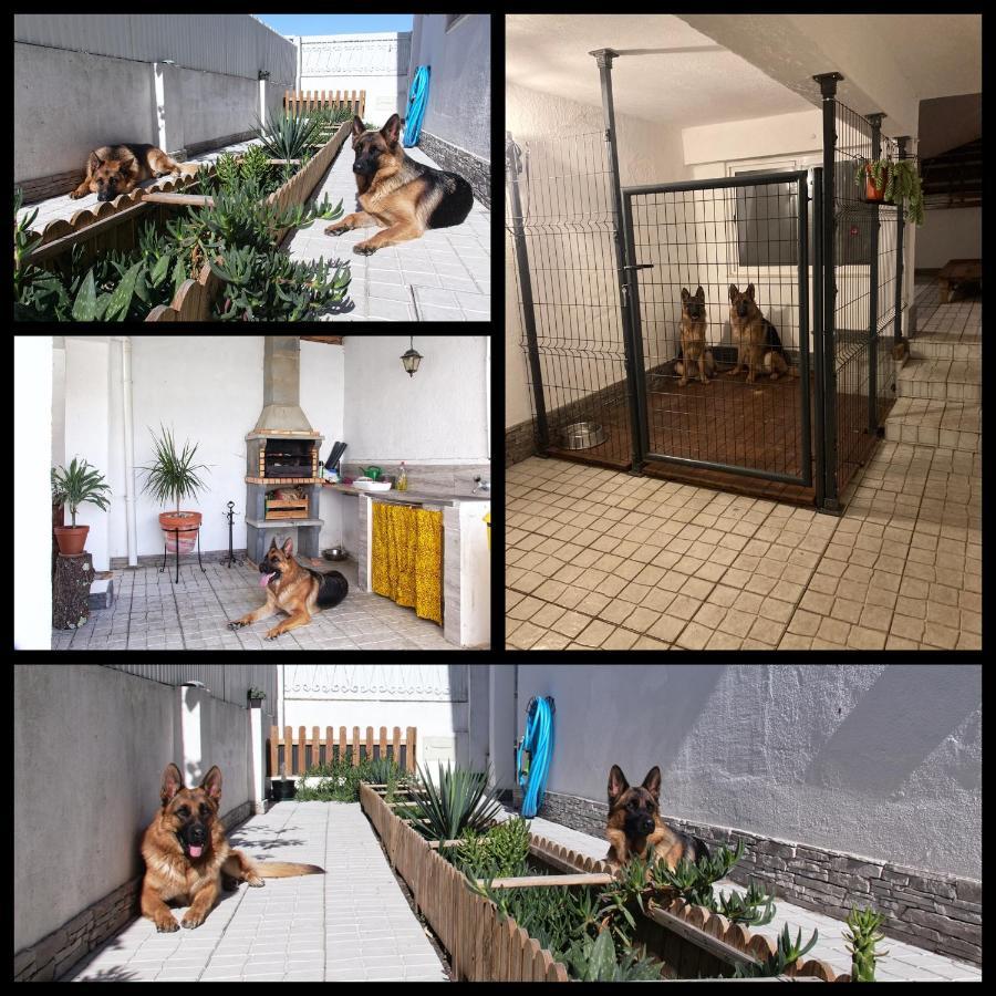 Toca Do Lobo Apartment Charneca  Luaran gambar
