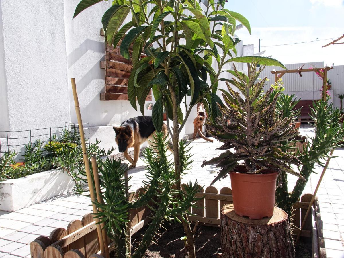 Toca Do Lobo Apartment Charneca  Luaran gambar